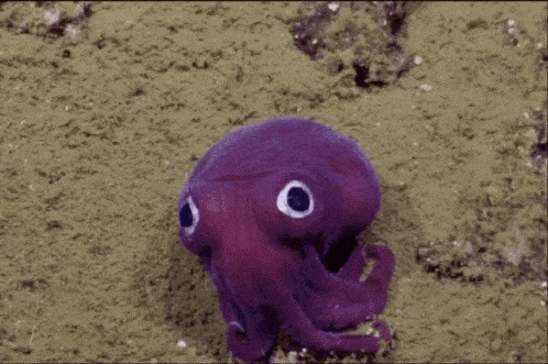 Squid Game Gif