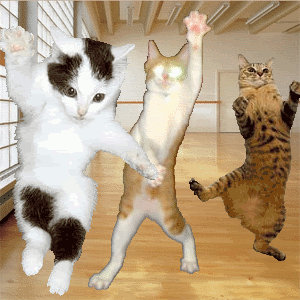 Cats Dancing Gif