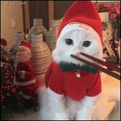 Christmas Cat Gif Christmas Cat Gif