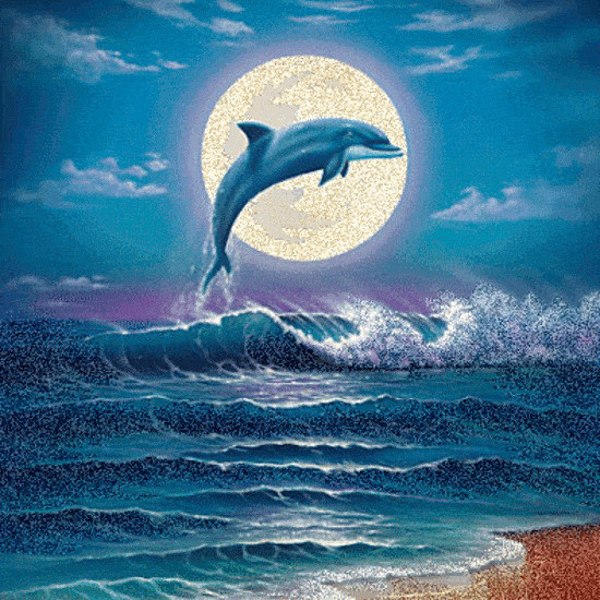 Dolphin Gif IceGif Dolphin Gif IceGif