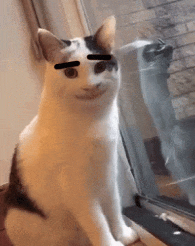 Meme Gif IceGif