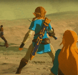 The Legend Of Zelda Gif