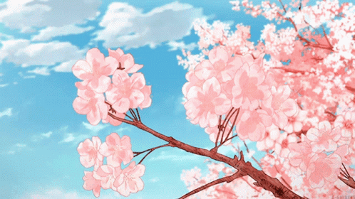 Cherry Blossom Gif