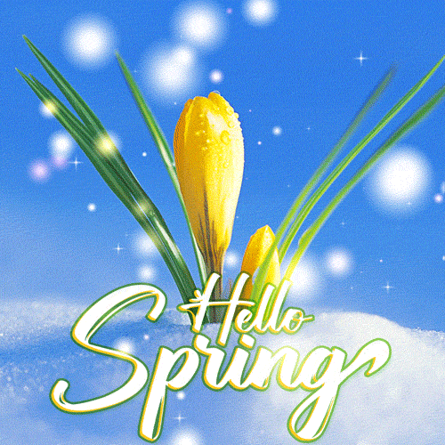 Summer Gif,Blooms Gif,Green Gif,Season Gif,Spring Gif,Springtime Gif,The Heat Starts Gif