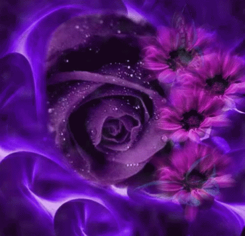 Roses Gif