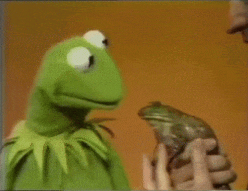 Kermit Gif