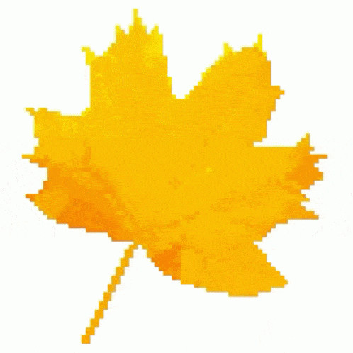 Maple Leaf Gif