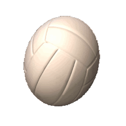 Volleyball Gif