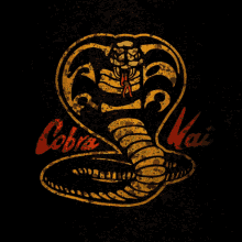 Cobra Kai Gif