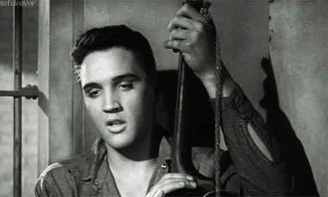 Elvis Presley Gif