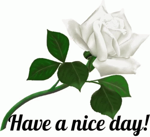 Have A Great Day Gif