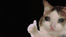 Hand Gesture Gif,Approval Gif,Movement Gif,Positive Gif,Thumb Signal Gif,Thumbs Up Gif