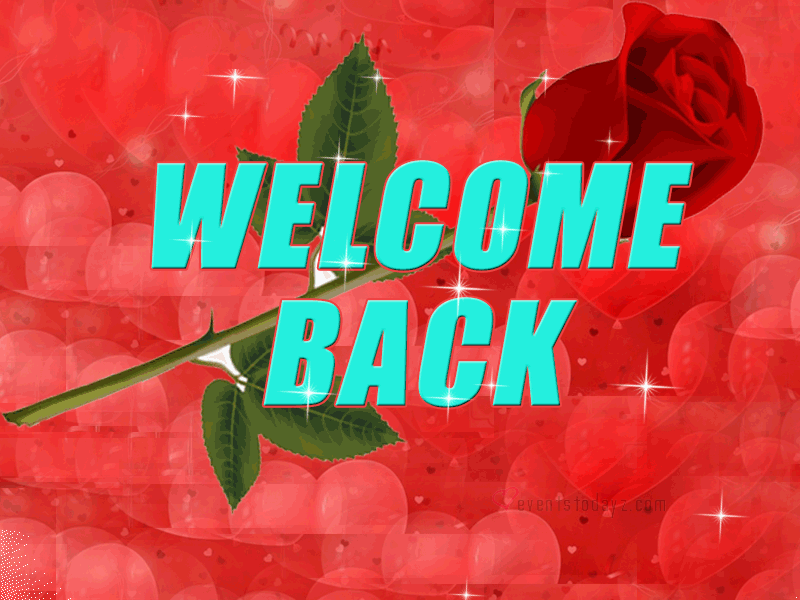 Welcome Back Gif