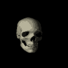 Skull Gif