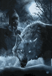Animal Gif,Canine Gif,Gray Wolves Gif,Large Gif,North America Gif,Wolf Gif