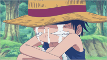 Monkey D. Luffy Gif