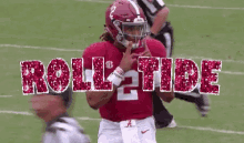 Alabama Crimson Tide Football Gif