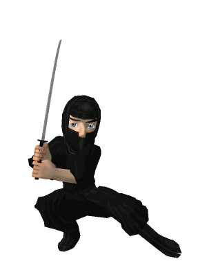 Ninja Gif