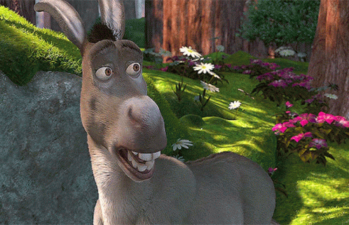 Donkey Gif