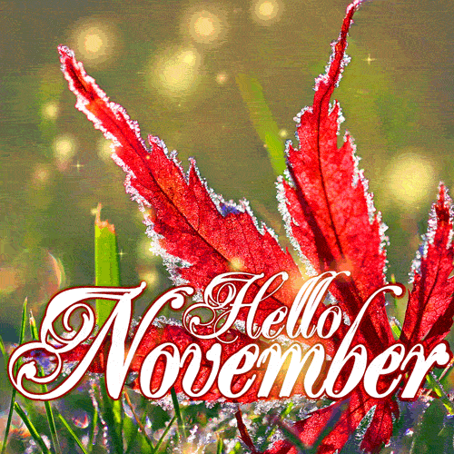11 Months Gif,Autumn Gif,Gregorian Calendars Gif,Julian Gif,Month Gif,November Gif,Romulus C Calendar Gif