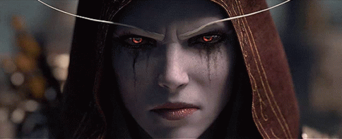 Blizzard Entertainment. Gif,Fantasy Universe Gif,Multiplayer Gif,Online Game Gif,Playing Game Gif,The Frozen Throne Gif,Warcraft Gif,Warcraft III Gif,World Of Warcraft Gif