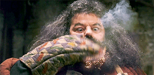 Rubeus Hagrid Gif