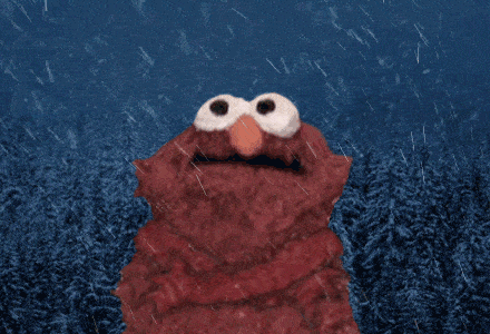 Elmos feud with a pet rock has consumed the internet