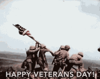 Armed Forces Gif,Federal Holiday Gif,November 11 Gif,United States Gif,Veterans Day Gif