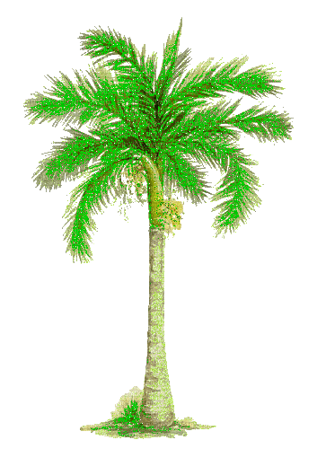 Palm Tree Gif