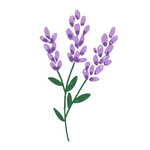 Lavender Gif