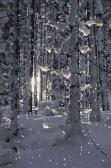 Atmosphere Gif,Cold Gif,Ice Crystals Gif,Snowing Gif,White Gif,Winter Gif