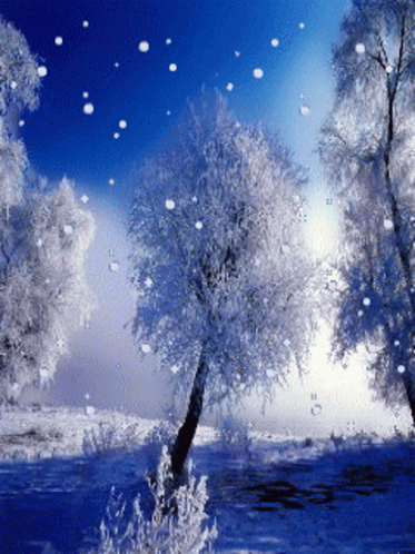 Atmosphere Gif,Cold Gif,Ice Crystals Gif,Snowing Gif,White Gif,Winter Gif