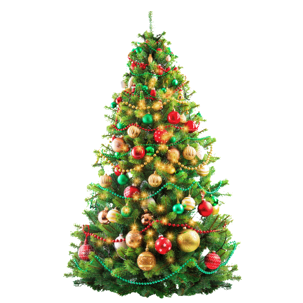 Celebration Gif,Christmas Tree Gif,Decorated Gif,Fir Gif,Germany Gif,New Year Gif,Pine Tree Gif,Saint Boniface Gif,Spruce Gif