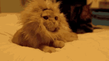 Attractive Gif,Frustration Gif,Stress Gif,Expression Gif,İmitatıon Gif,Slang Gif