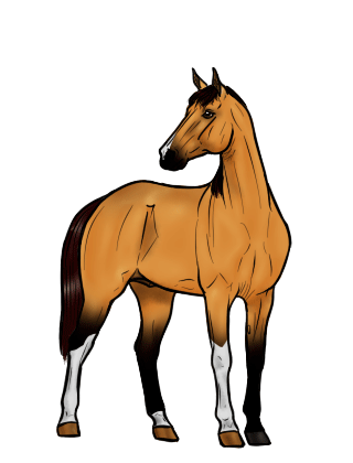 Horse Gif