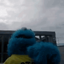 Cookie Monster Gif,Sesame Street Gif,Blue Muppet Gif,Children’s Gif,Muppet Character Gif,Television Show Gif