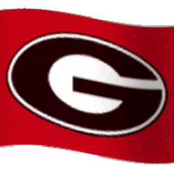 Georgia Bulldogs Gif