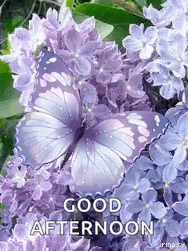 Time Gif,Day Gif,Good Afternoon Gif,Study Gif,Sun Gif,The Hottest Gif,The Sun Is On The Hill Gif