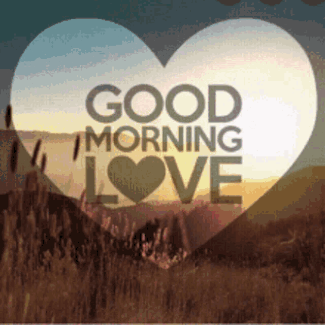 Good Morning My Love Gif