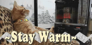 Stay Warm Gif