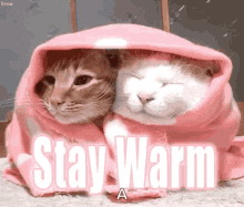 Romantic Gif,Energy Gif,Heat Gif,Keep Warm Gif,Love Gif,Showing Love Gif,Stay Warm Gif,Thermodynamic Gif