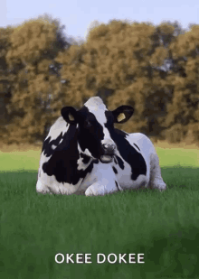 Polish Cow Gif