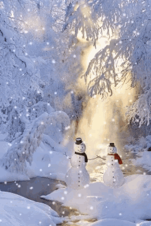 Atmosphere Gif,Cold Gif,Fall Gif,Ice Crystals Gif,Snow Gif,Winter Gif,Within Clouds Gif