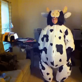 Cow Print Gif