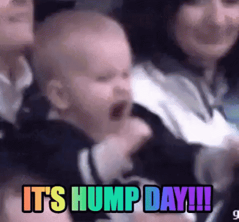 Humpday Gif
