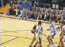 Basketball Player Gif,American Gif,American Comedy Gif,Leprechauns Gif,Novel Gif,Ryan Merriman Gif,The Luck Of The Irish Gif