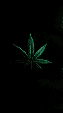 420 Day Gif