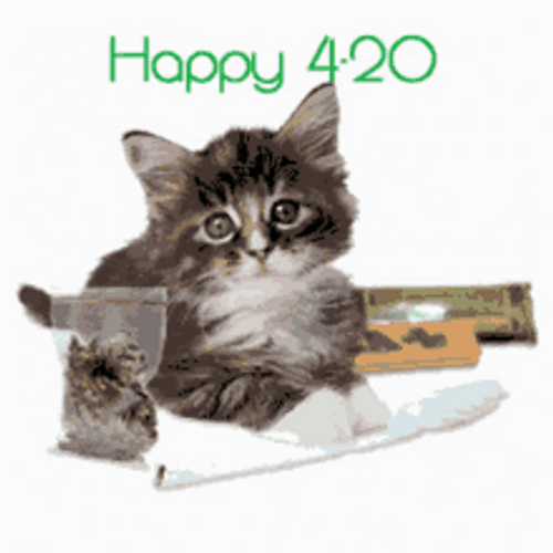 420 Day Gif,April 20 Gif,Argo Gif,Cannabis Consumption Gif,Cannabis Culture Gif,Celebration Gif,To Smoke Gif