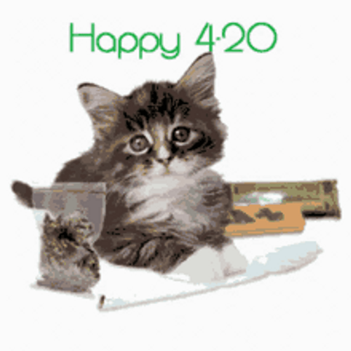 420 Day Gif IceGif