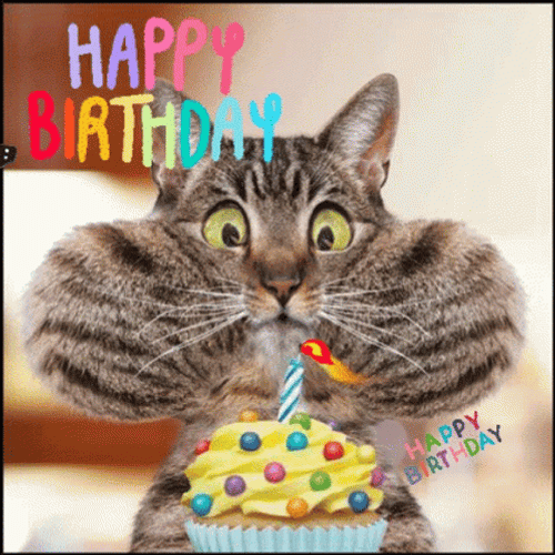 Funny Birthday Card Funny Birthday Gif GIF - Funny Birthday Card Funny  Birthday Gif Happy Birthday - Discover & Share GIFs